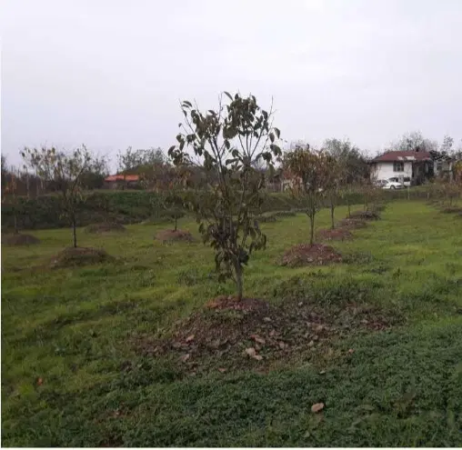 زمین ۲۰۱ متر محصور شده