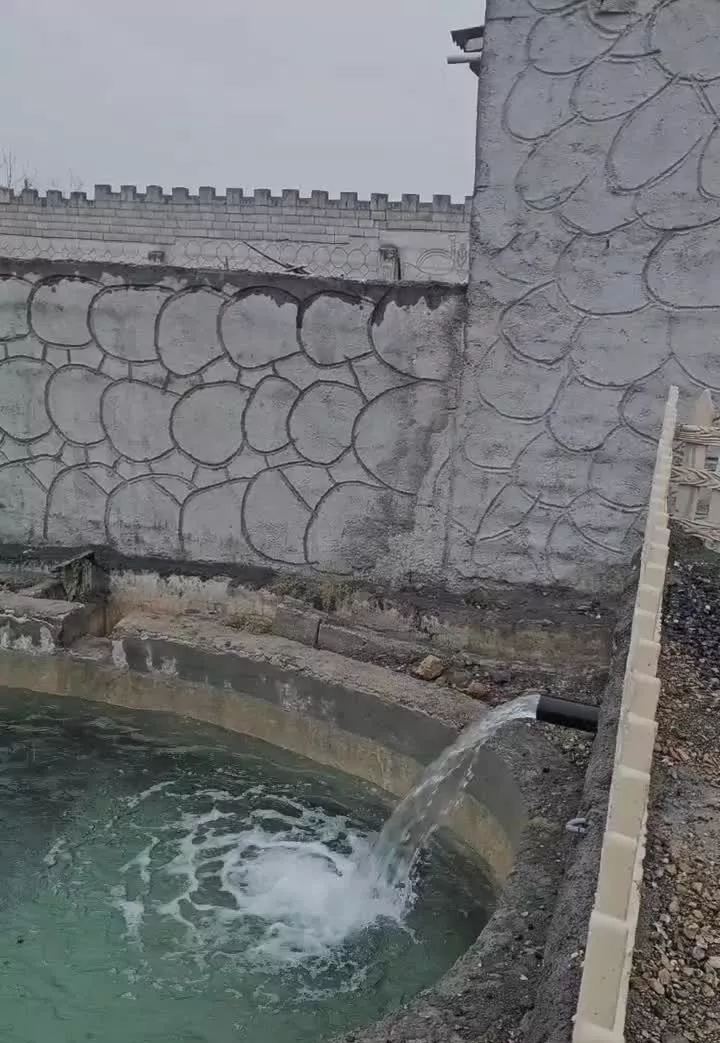 باغ فروشی نهضت آباد