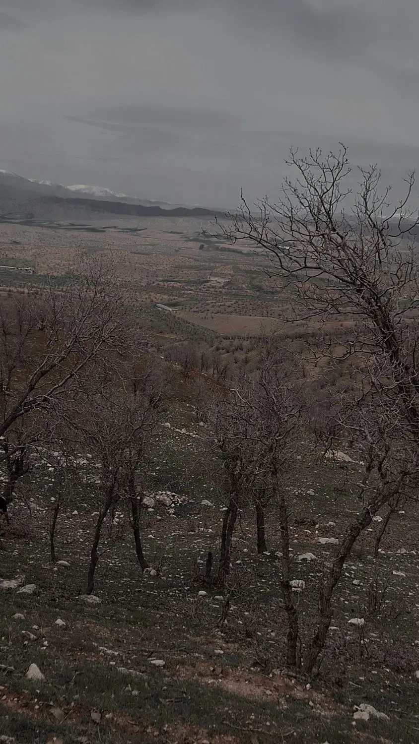 زمین تجاری