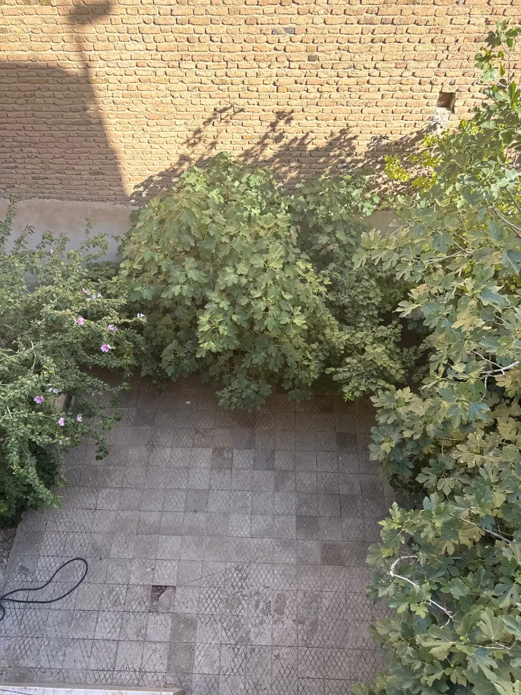 خانه اجاره شهرک سعدی