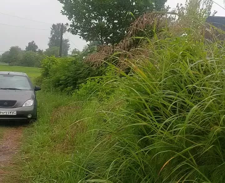 زمین داخل روستا(قطعه ای کوچک)نودوپنج ملیون