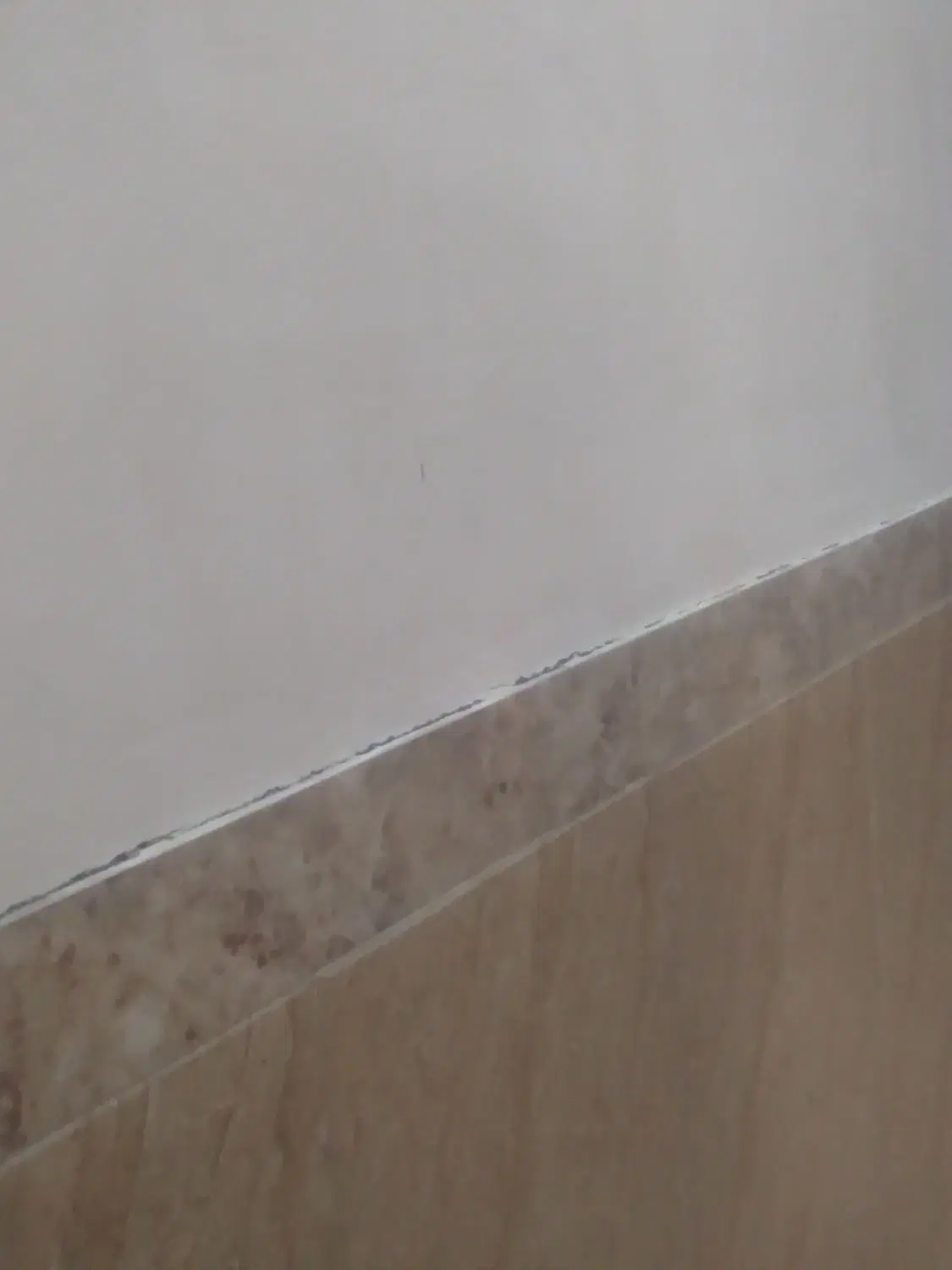 اجاره خانه