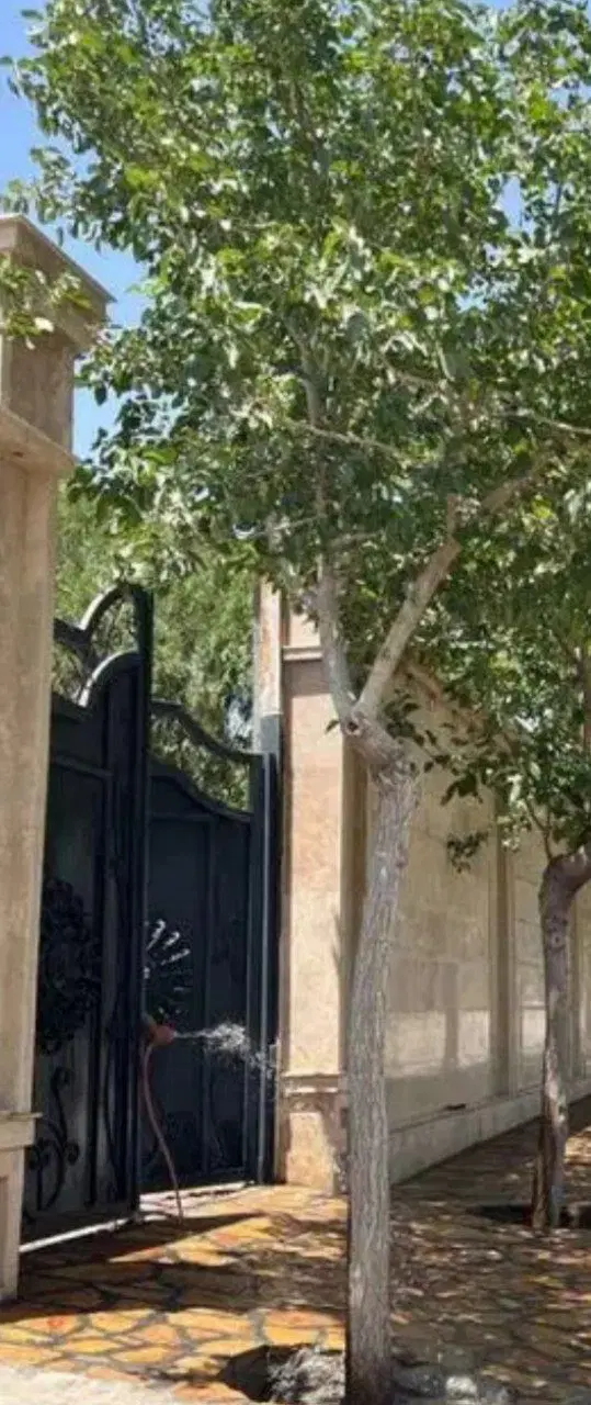 زمین شاندیز با پروانه ساخت..سند ششدانگ