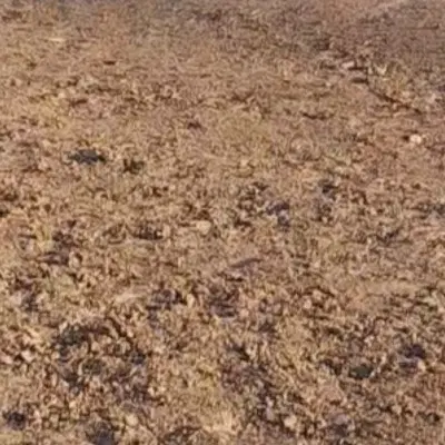 زمین سمت گشویی