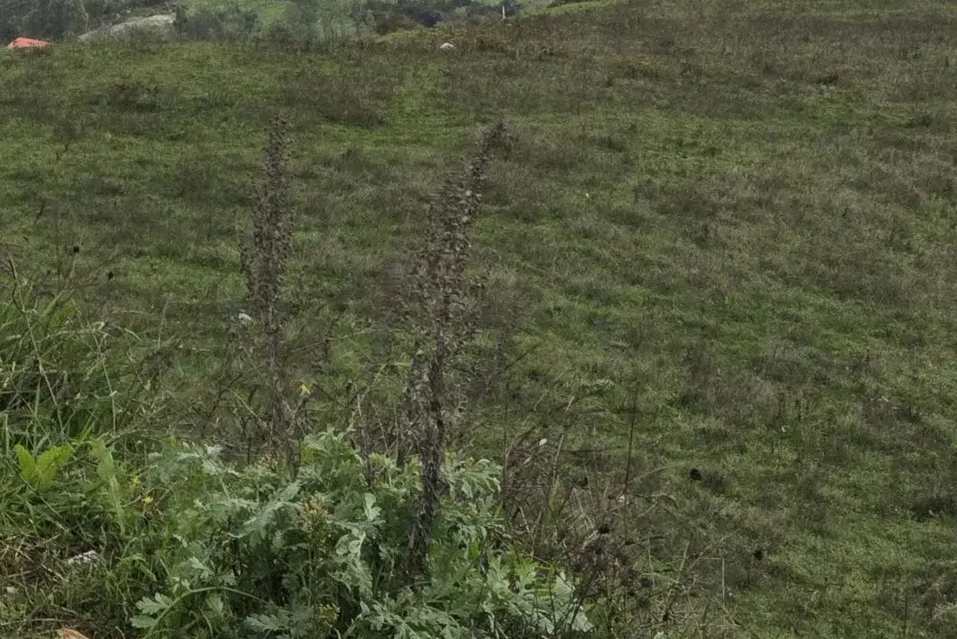 زمین مسکونی روستای اهنگران