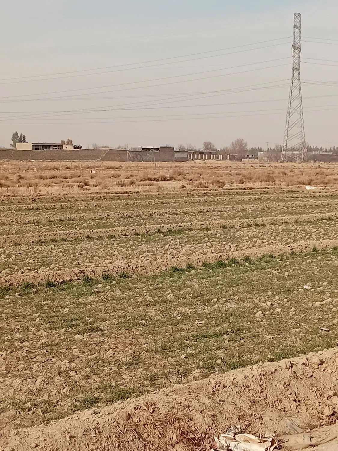 زمین باغی بسیار آینده دار
