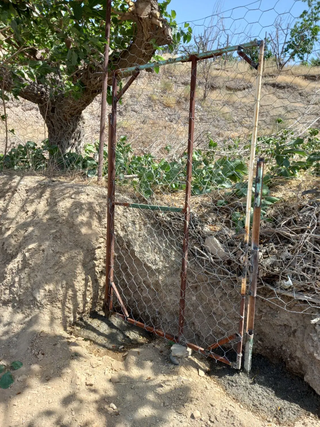 ۷۵۰ متر زمین رو بروی ارامستان جدید طرقبه گچکنه