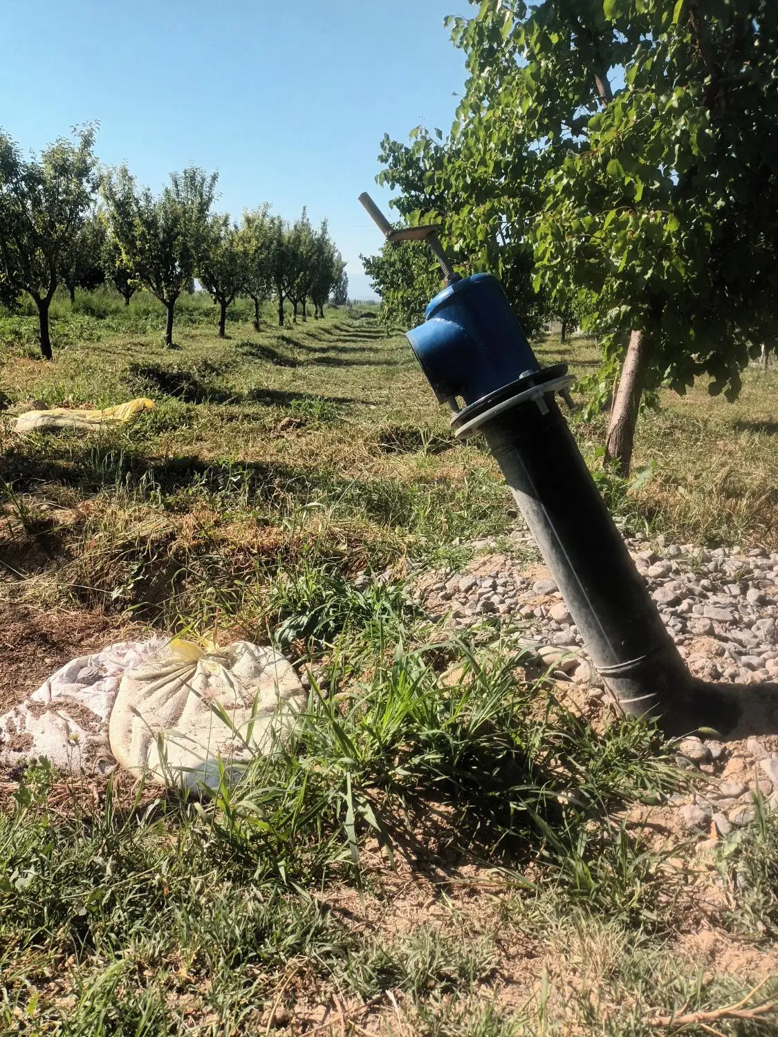 فروش باغ