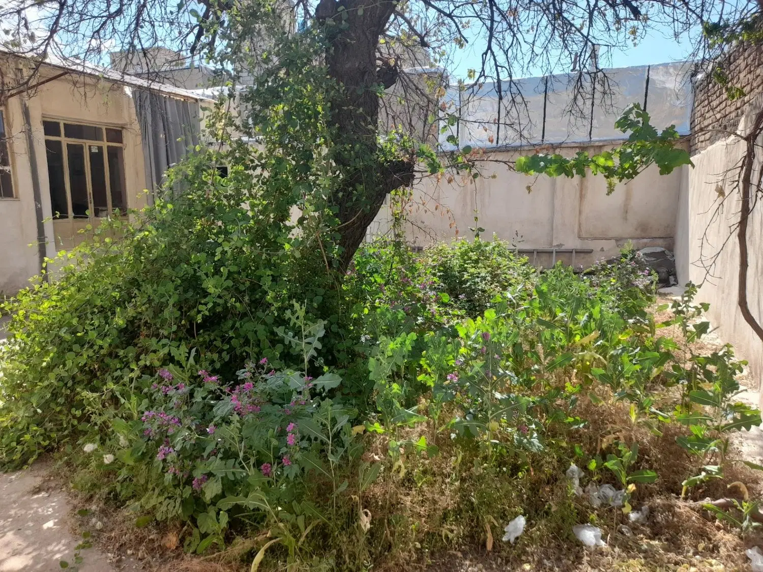 فروش یک واحد ویلایی در صدرجهان