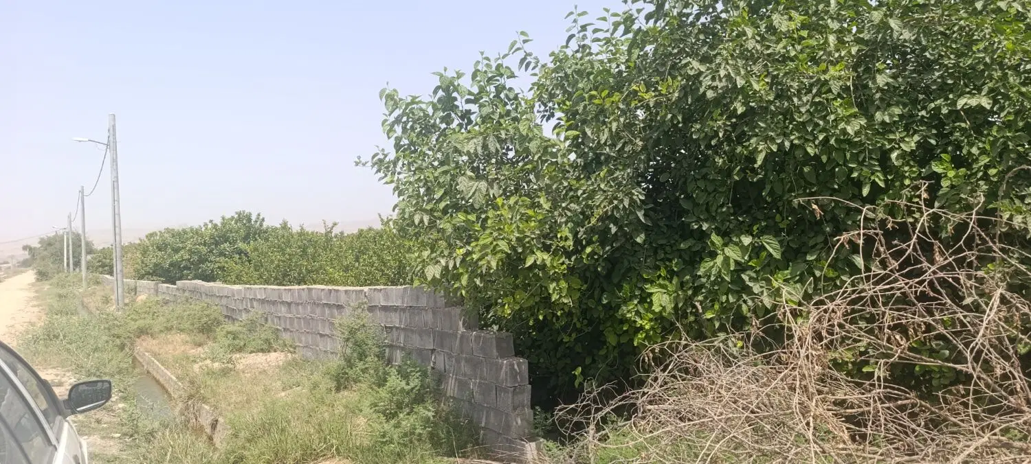 فروش باغ
