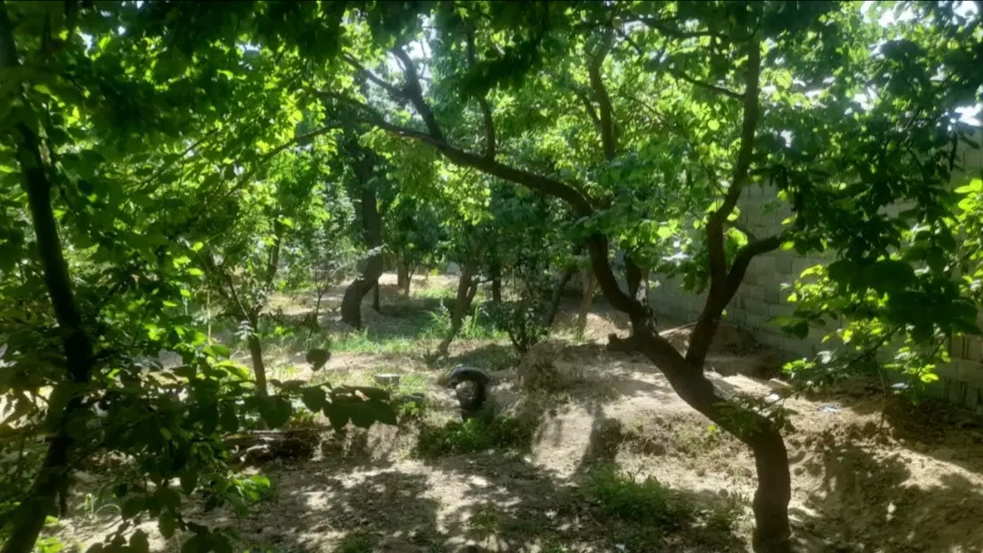 ۶۳۰ متر باغچه ۴ دیوار سند تکبرگ شهریار