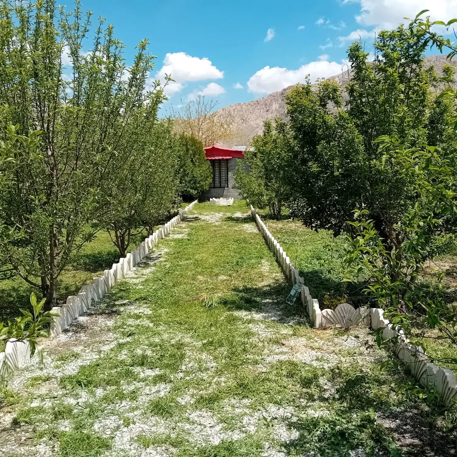 باغ شهرک شهید عسکری(گاوانه)