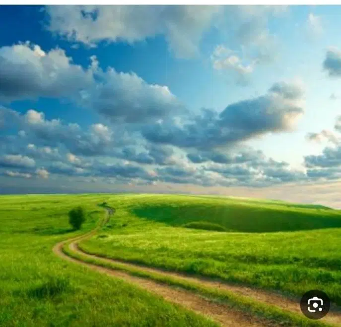 زمین باغی