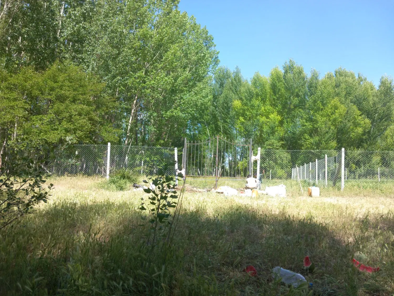 زمین کشاورزی .باغ