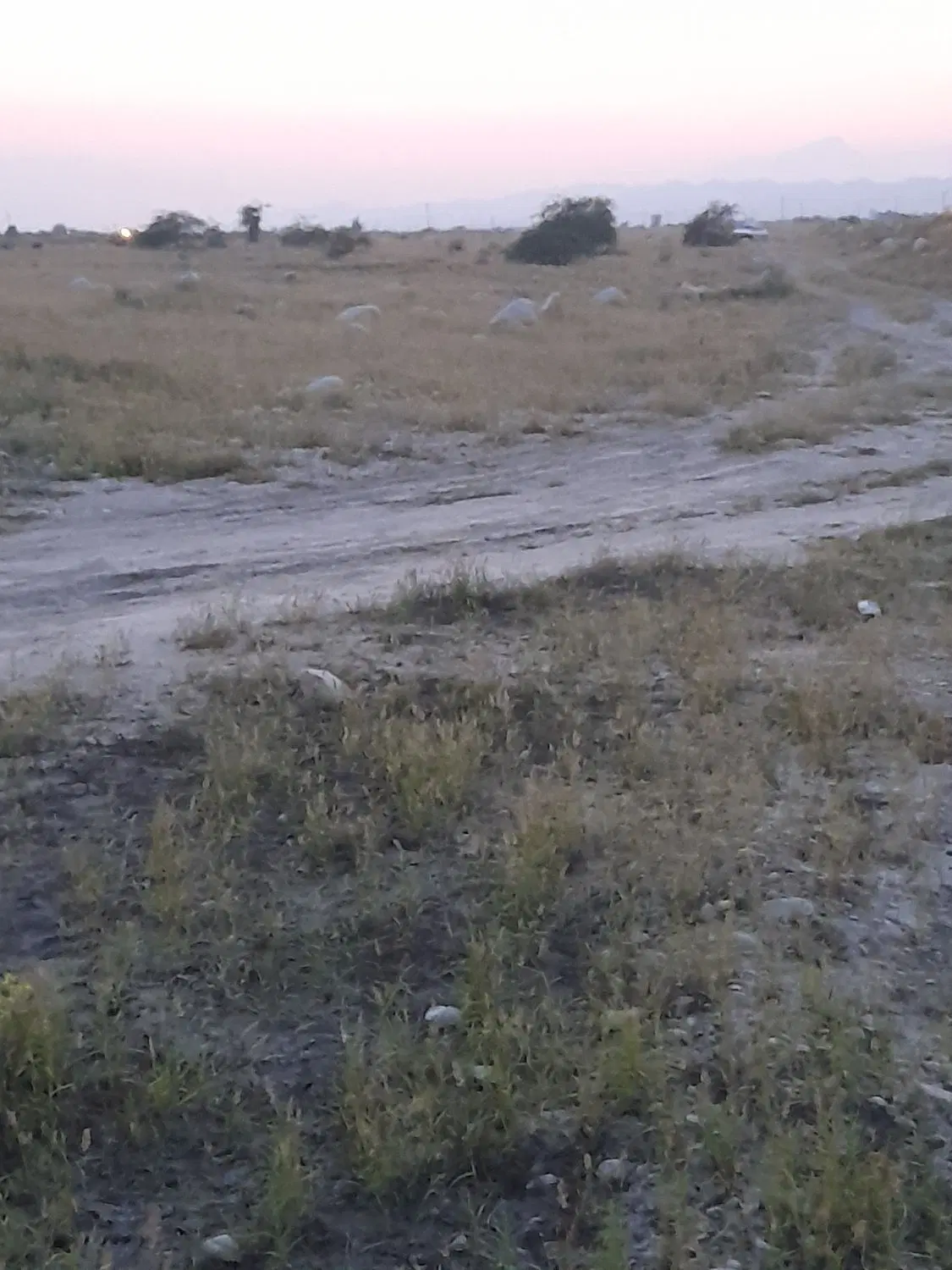 ۳۲۰۰مترزمین سندداردرشهرتخت