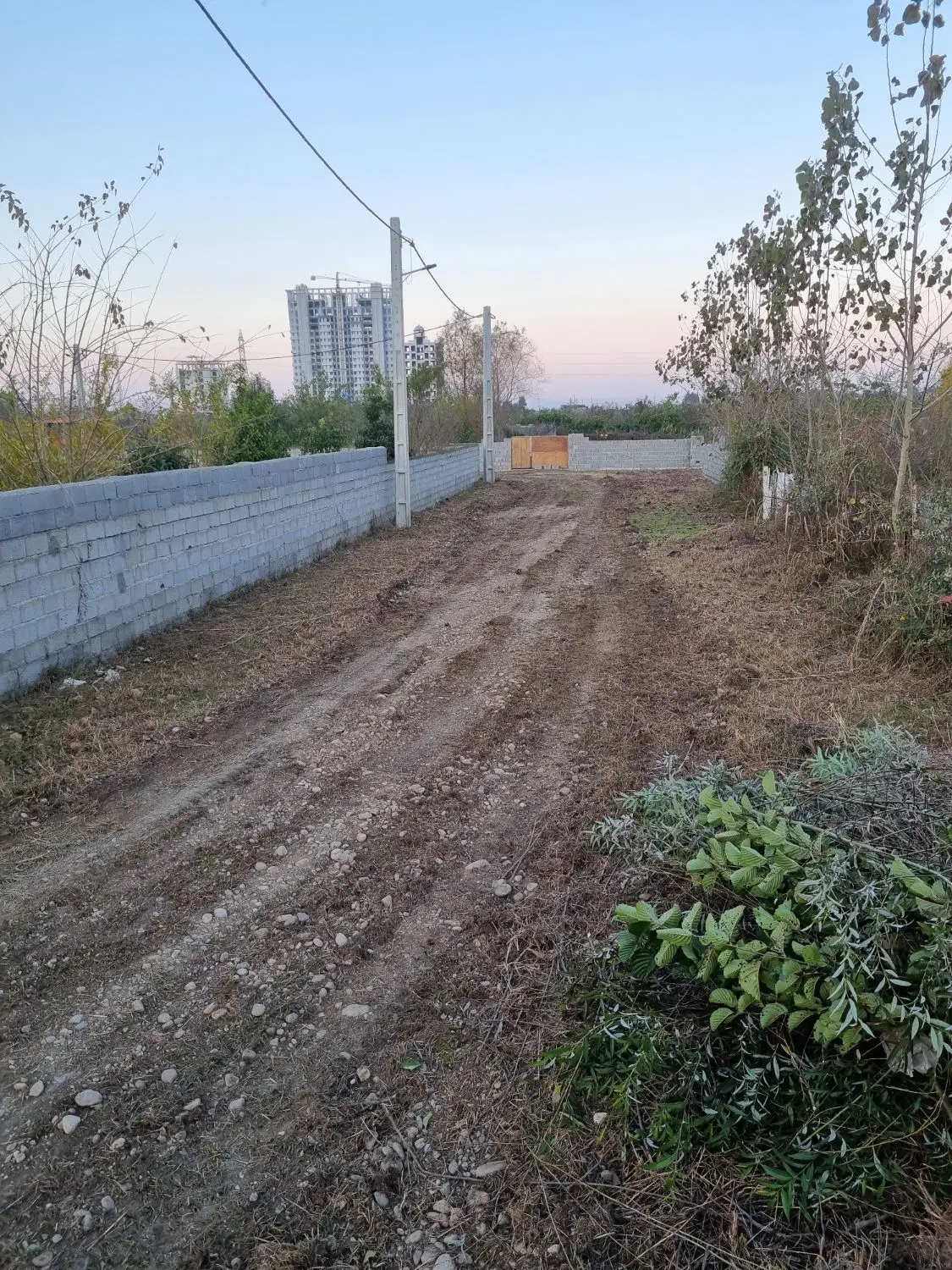 زمین واقع در شیرود همت آباد
