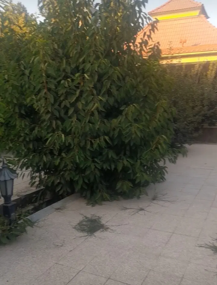 باغ ویلا چهارباغ
