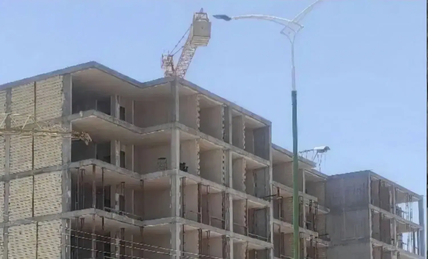 امتیاز گل نرگس