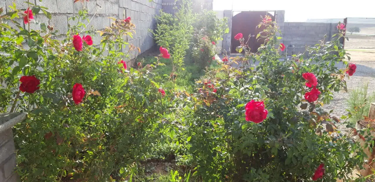 فروش زمین درشهیون باغچه بان