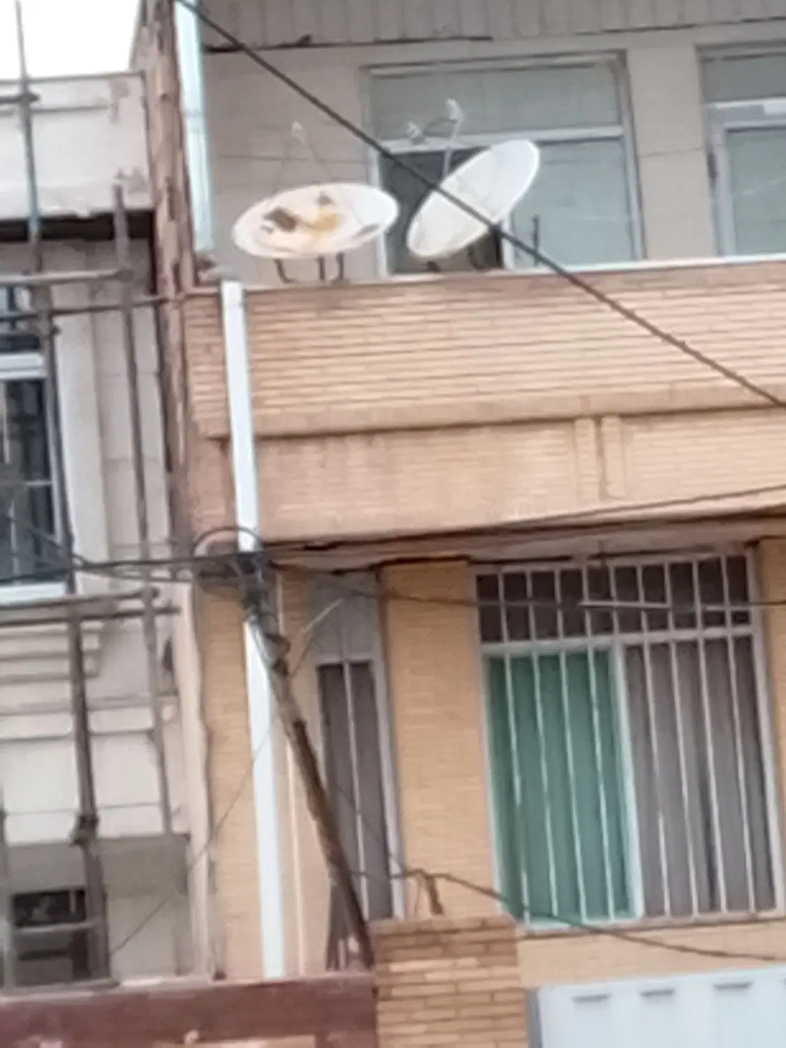 رهن کامل
