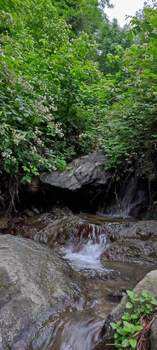زمین با مجوز ساخت روستای دیوشل