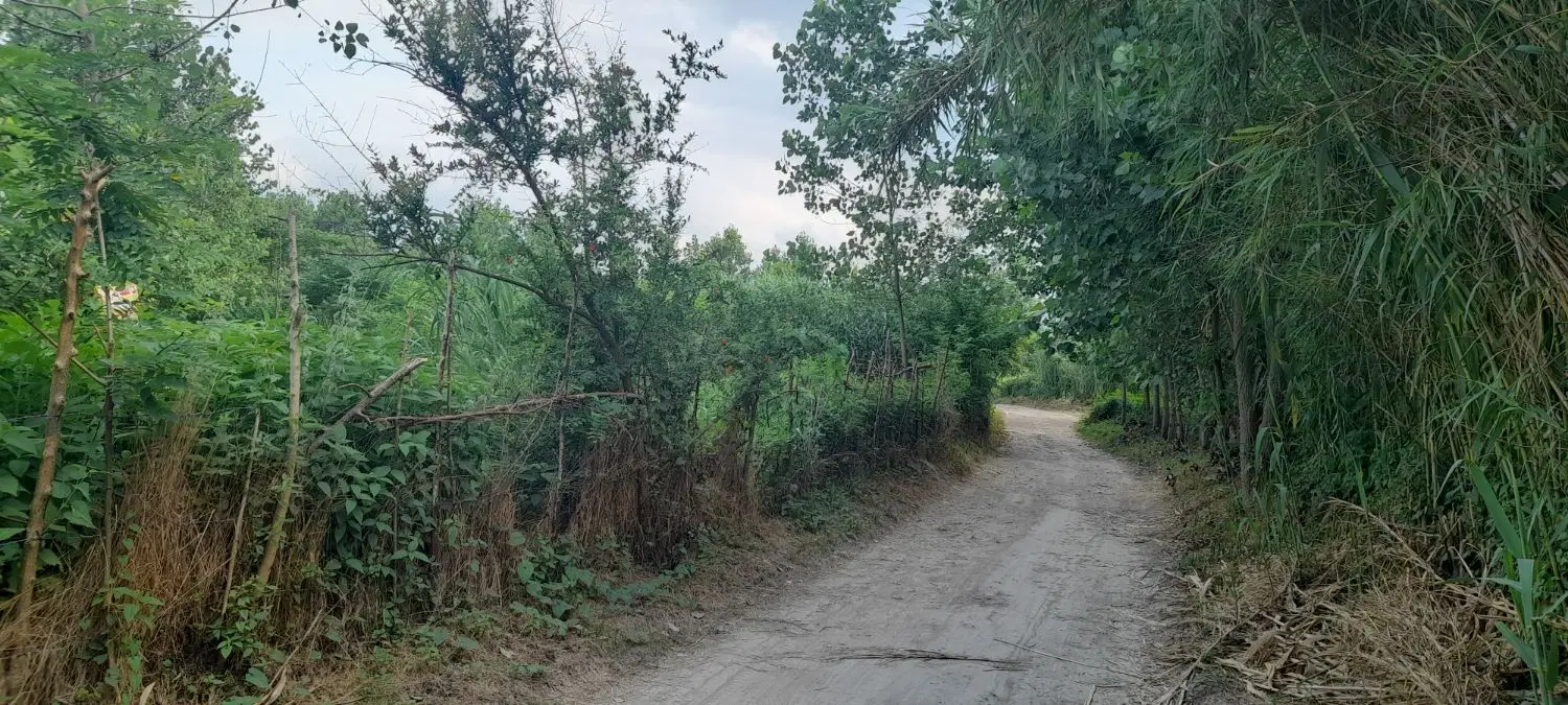 فروش زمین باغی