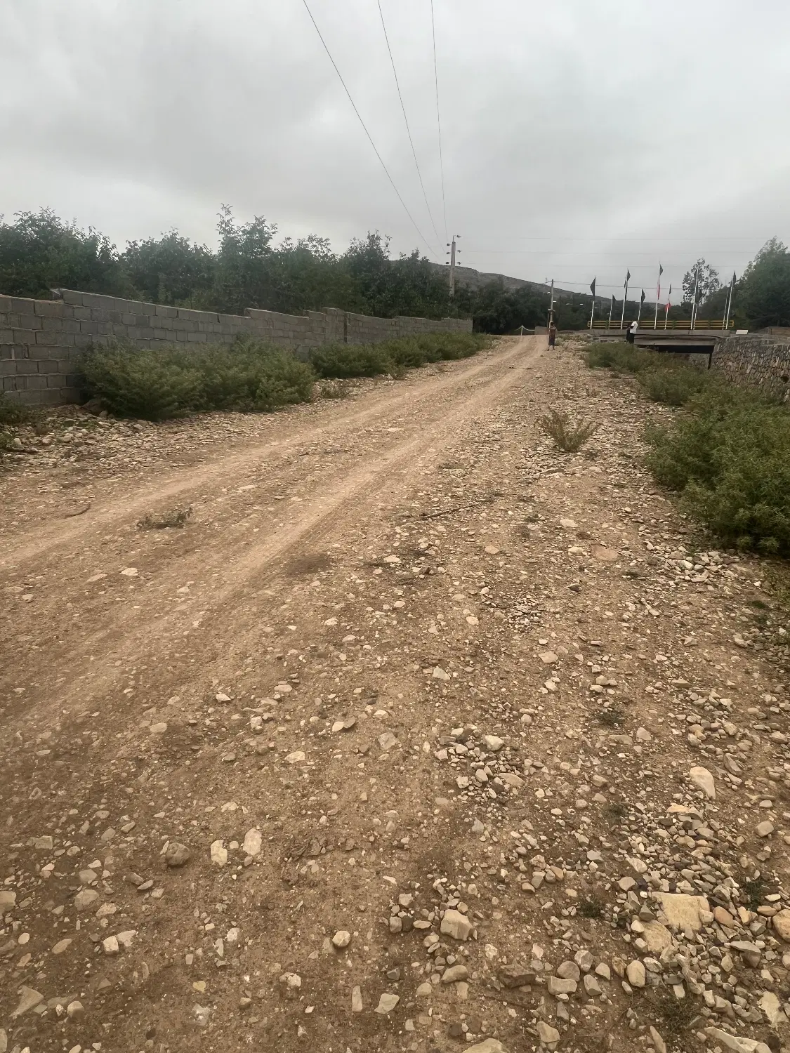 فروش فوری زمین در کجور شهر پول