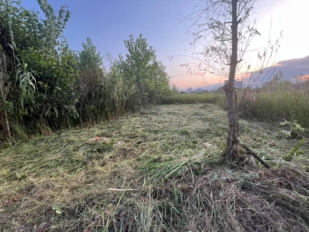 زمین فروشی