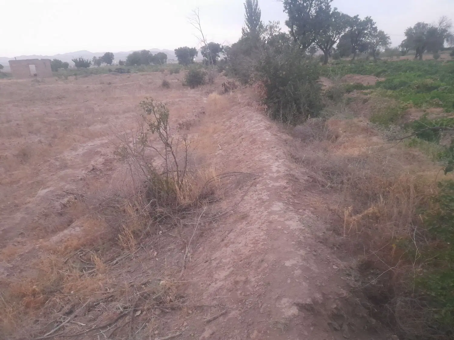 زمین باغی ۱۳۰۰متر سند۶دانگ بنام