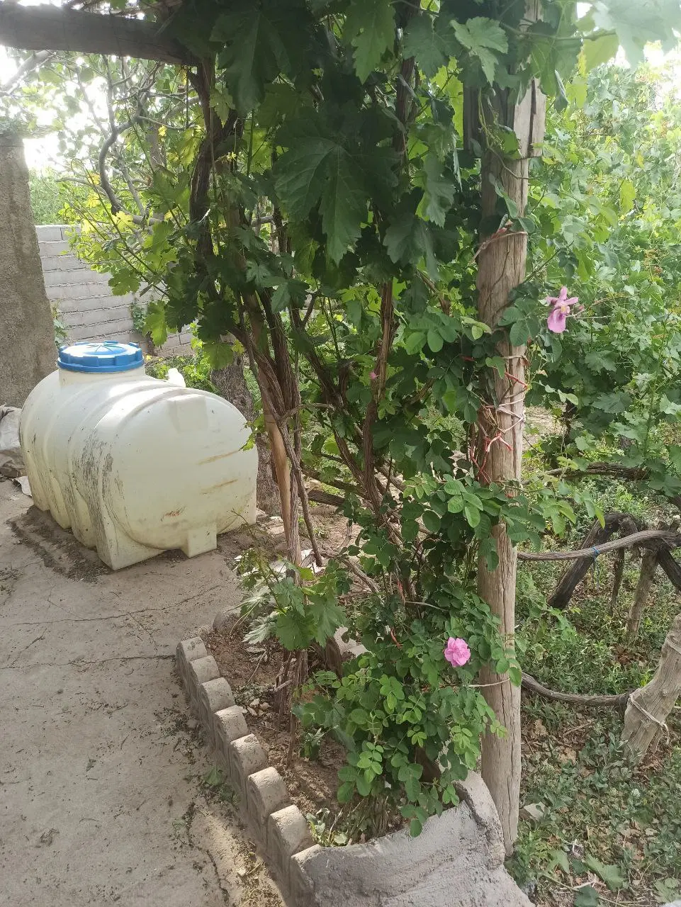 خونه باغ ویلایی