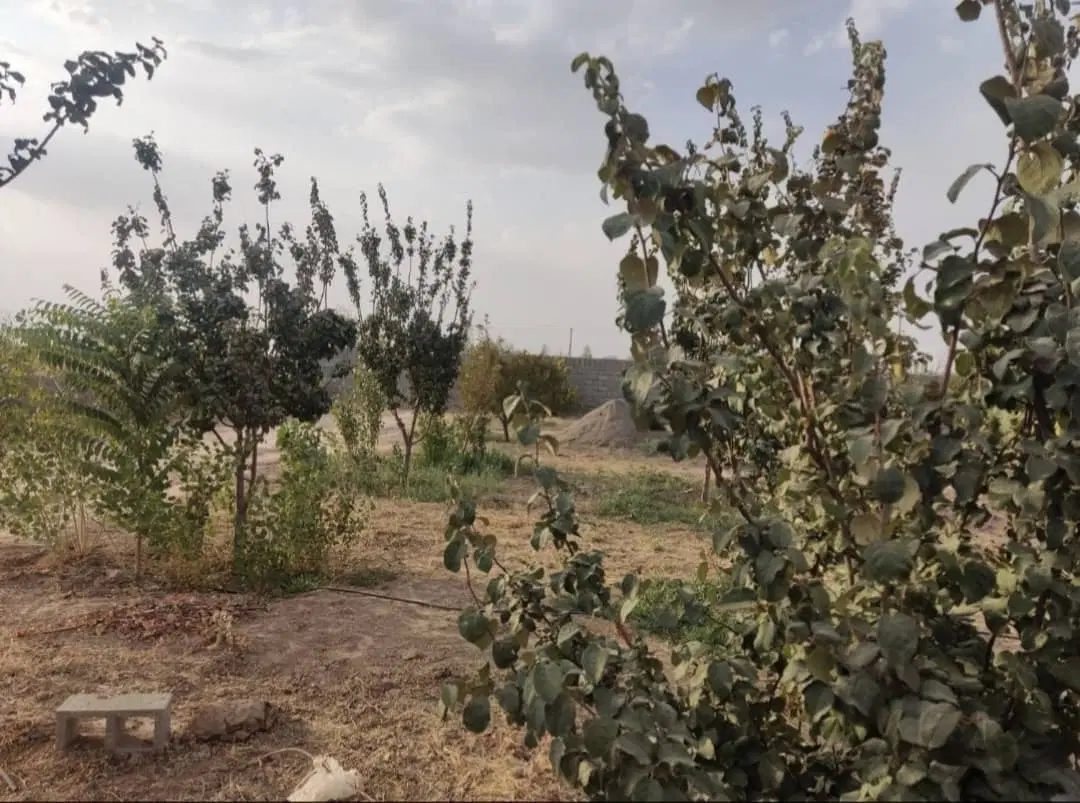۵۴۰ متر زمین مسکونی،سند تک برگ