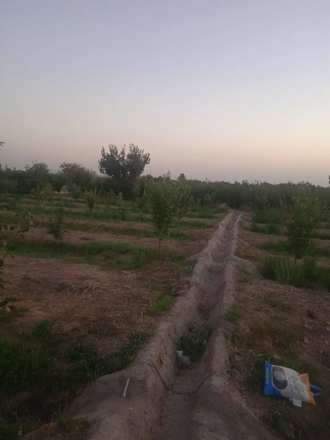 فروش زمین باغی