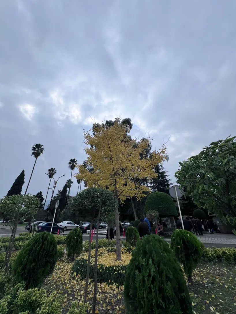 فروش ۵۲ متر منیریه سند تک‌برگ آسانسور
