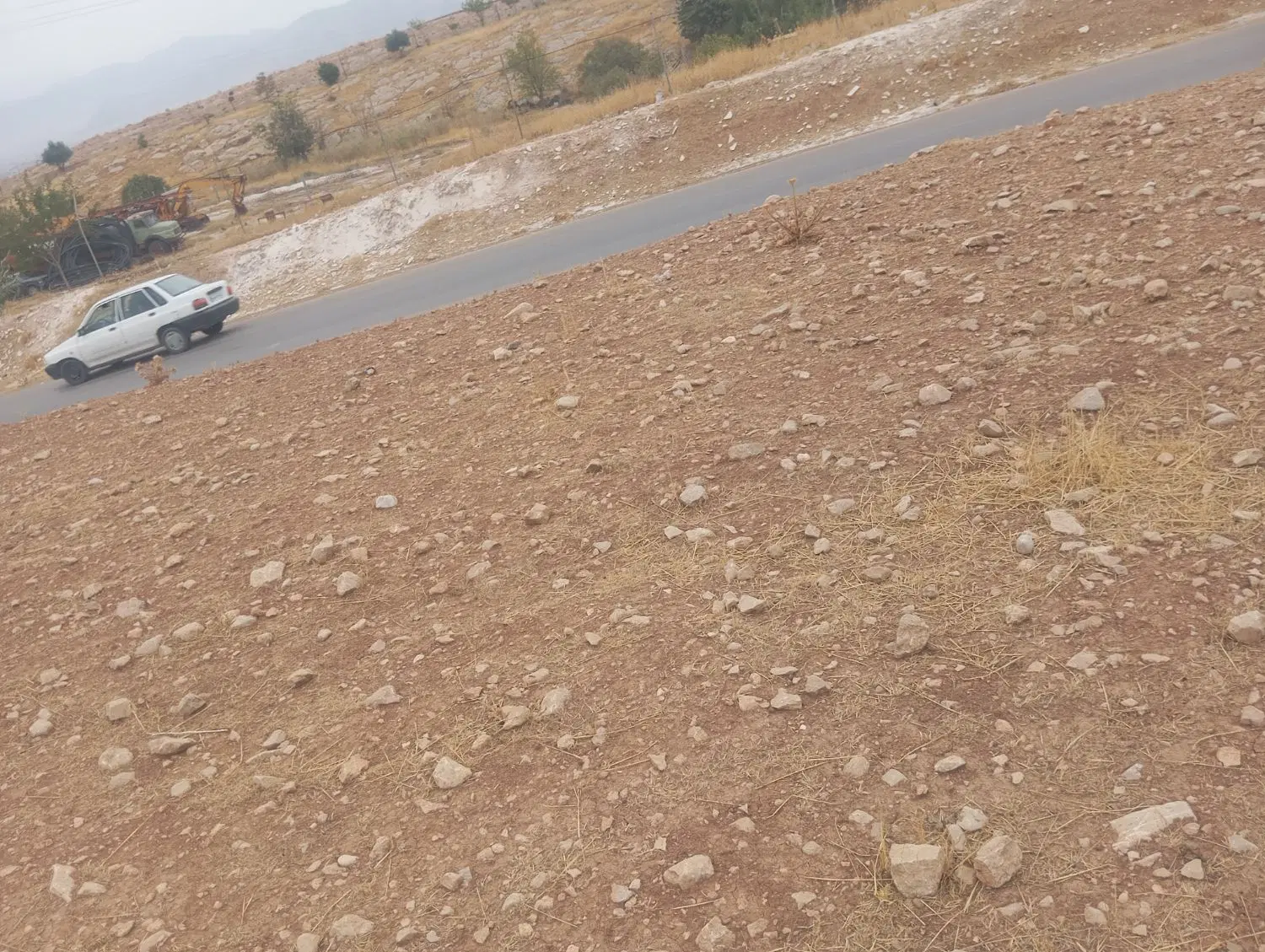 زمین کشاورزی