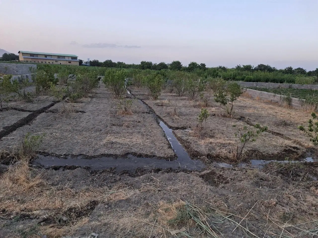 ویلایی بر امام زاده