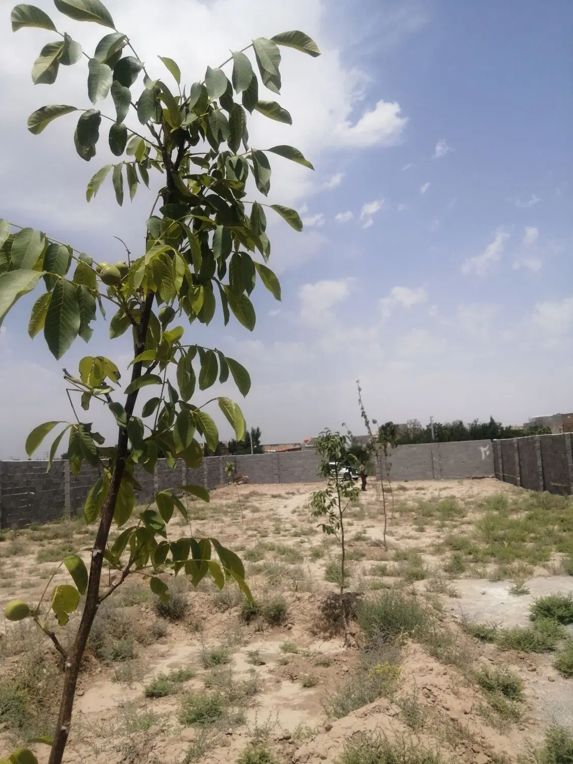 فروش زمین