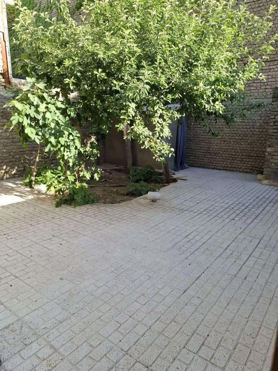 ویلایی حیاط دار همکف