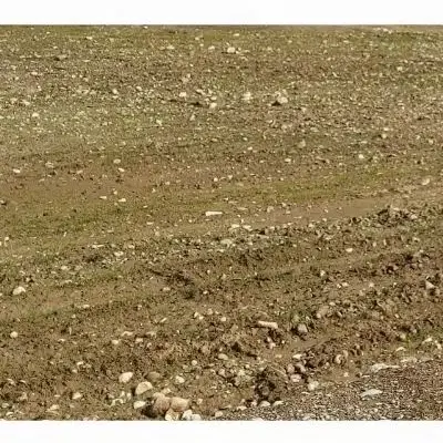 ۳۱۷ زمین تجاری مسکونی