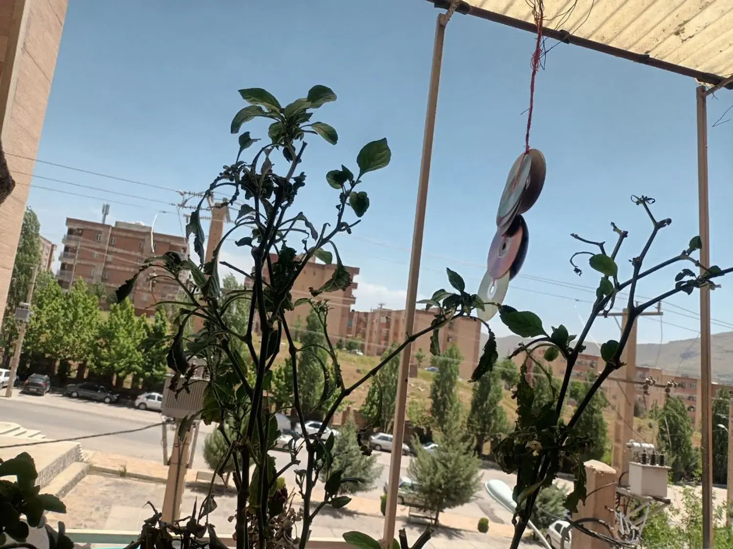 فروش یک واحد آپارتمان کوی ۶۲۴ واحدی فرهنگیان