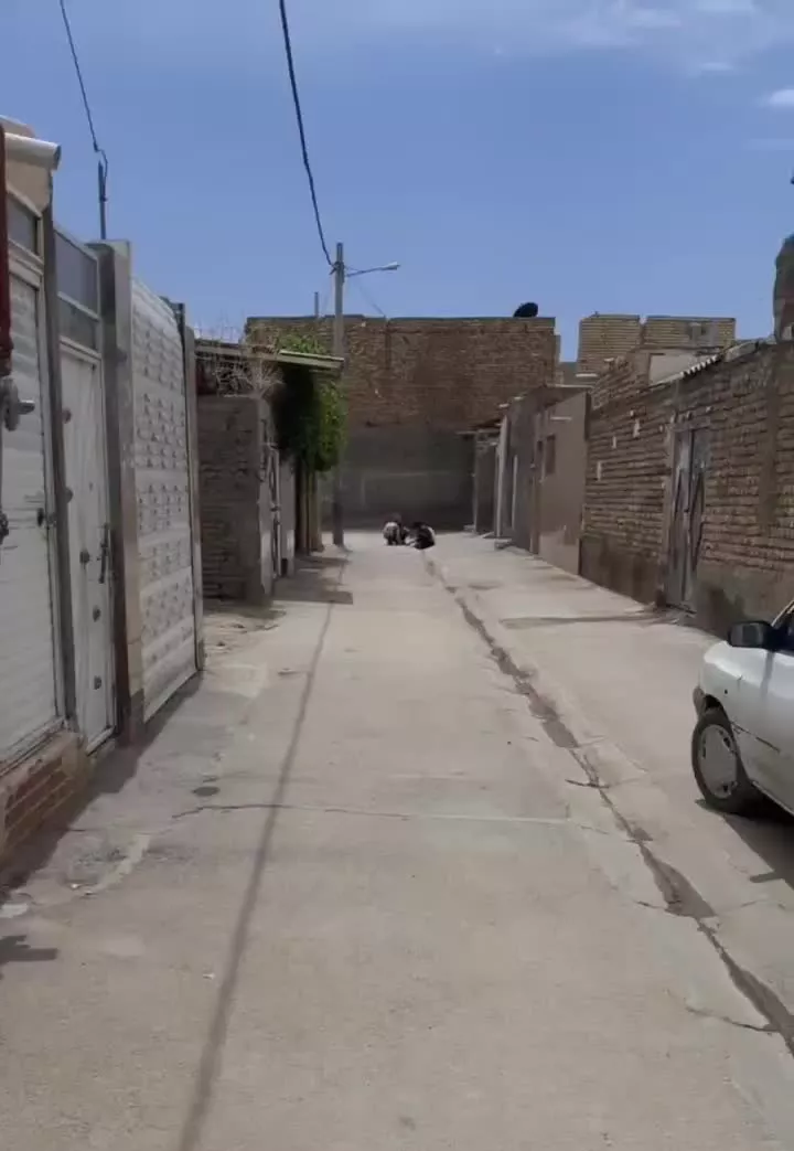 منزل ویلایی۶۰ متری طوس۹۷،الزهرا ۲۷