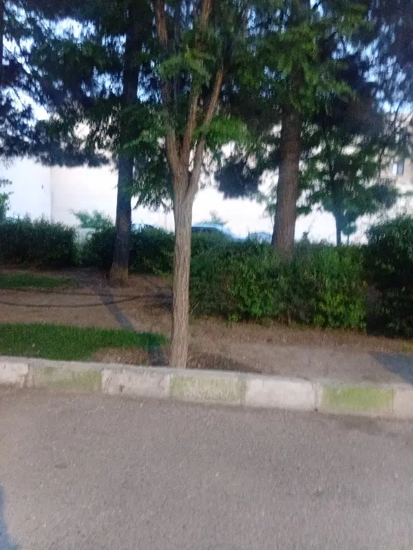زمین مناسب سرمایه گذاری
