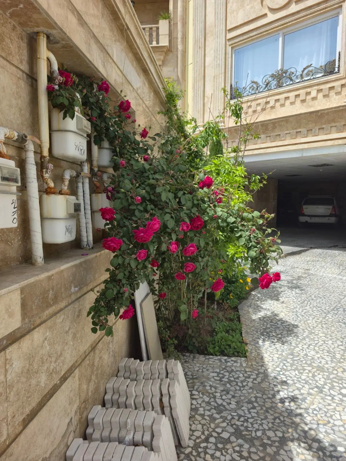 زمین دونبش البرز۳ شهر صدرا