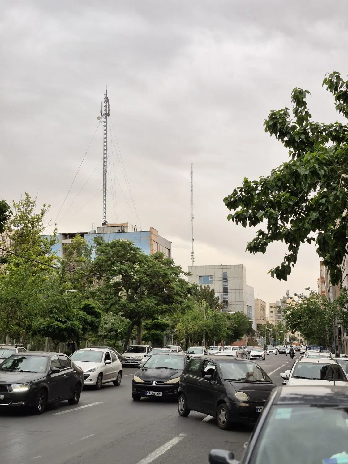 225 متر گلنگی بر 9 طاهرخانی