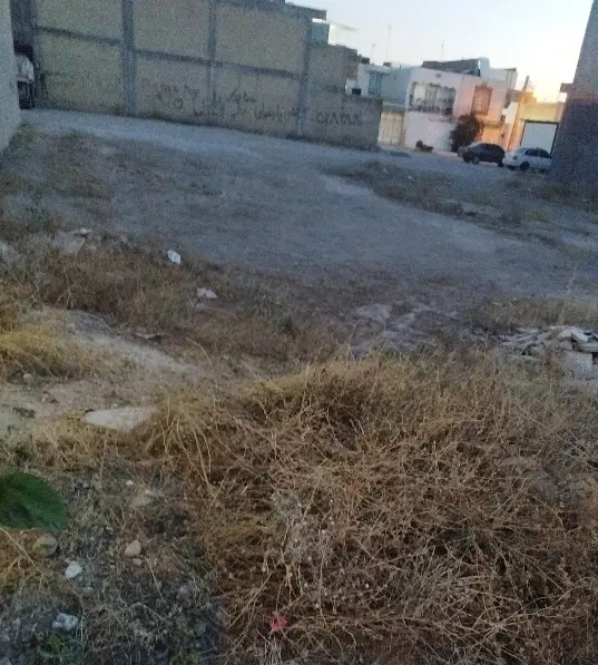 زمین فروشی سند تکبرگ