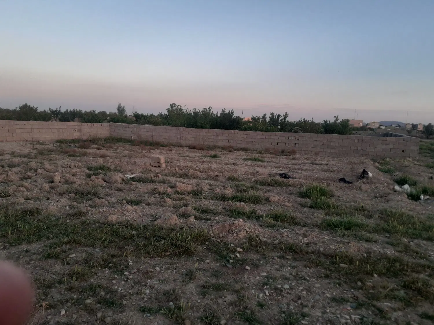 ۲۰۰ متر زمین مناسب باغچه سند تک برگ بیدگنه
