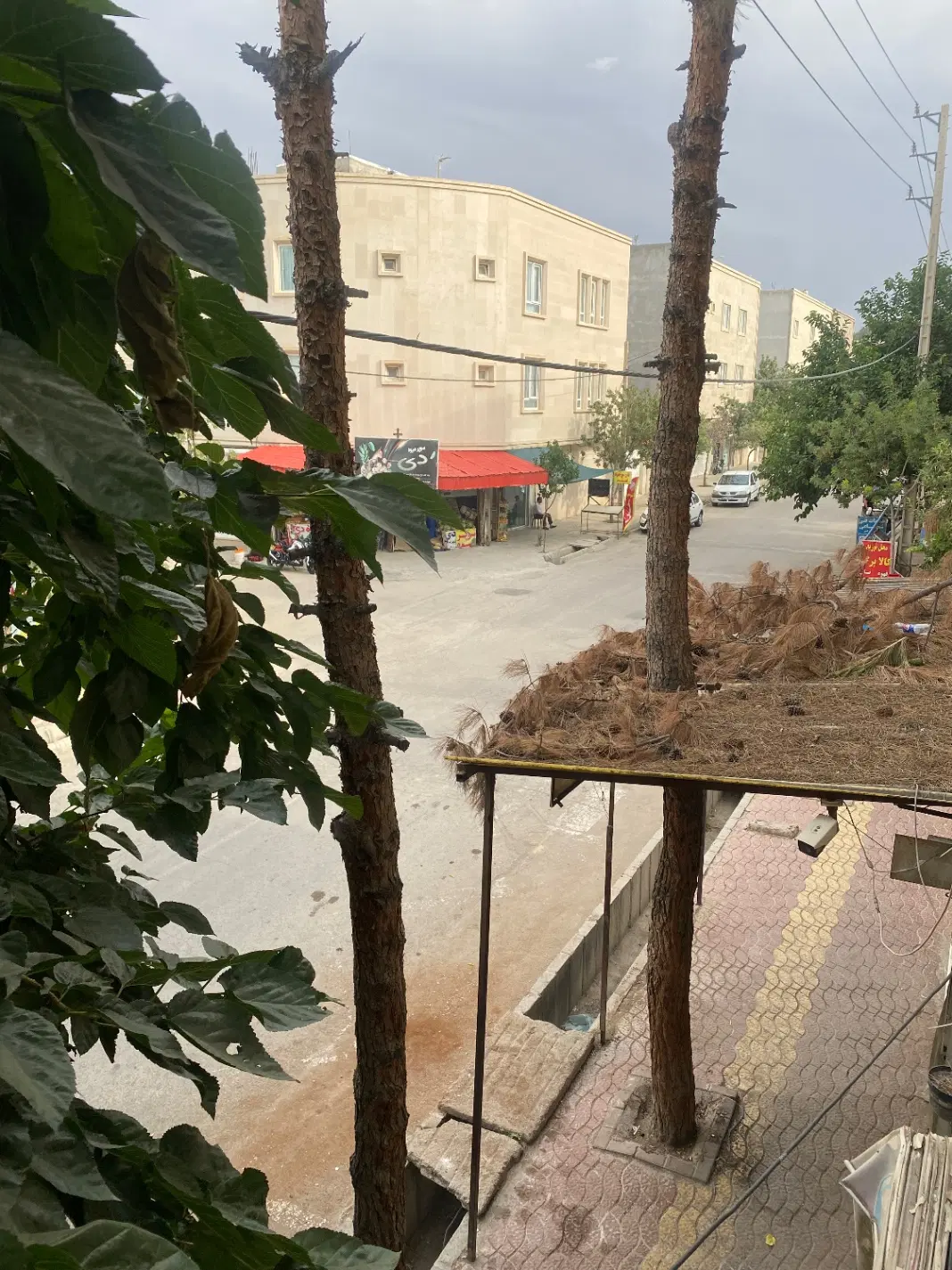 فرصت استثنایی برای نانوایی