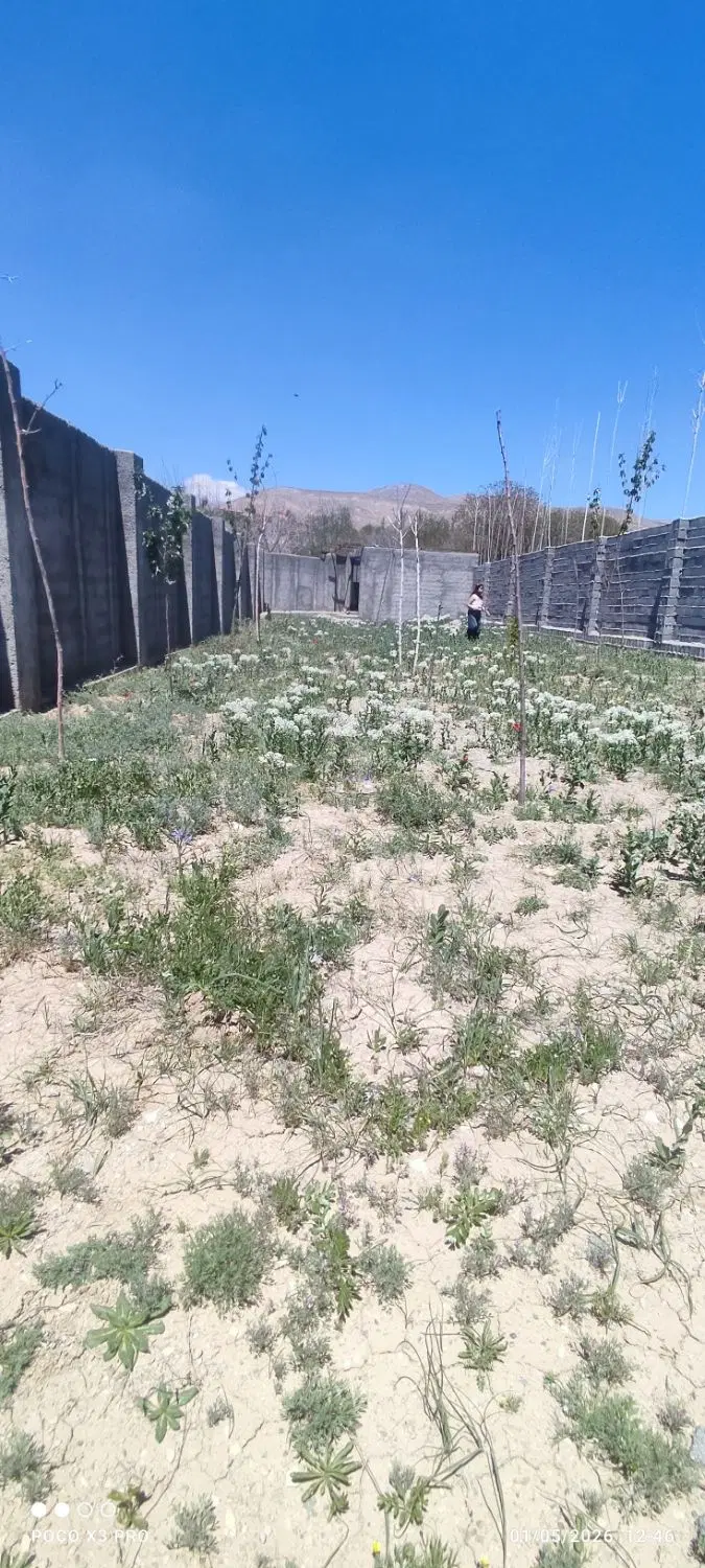 زمین ۲۵۰ متری در چناران