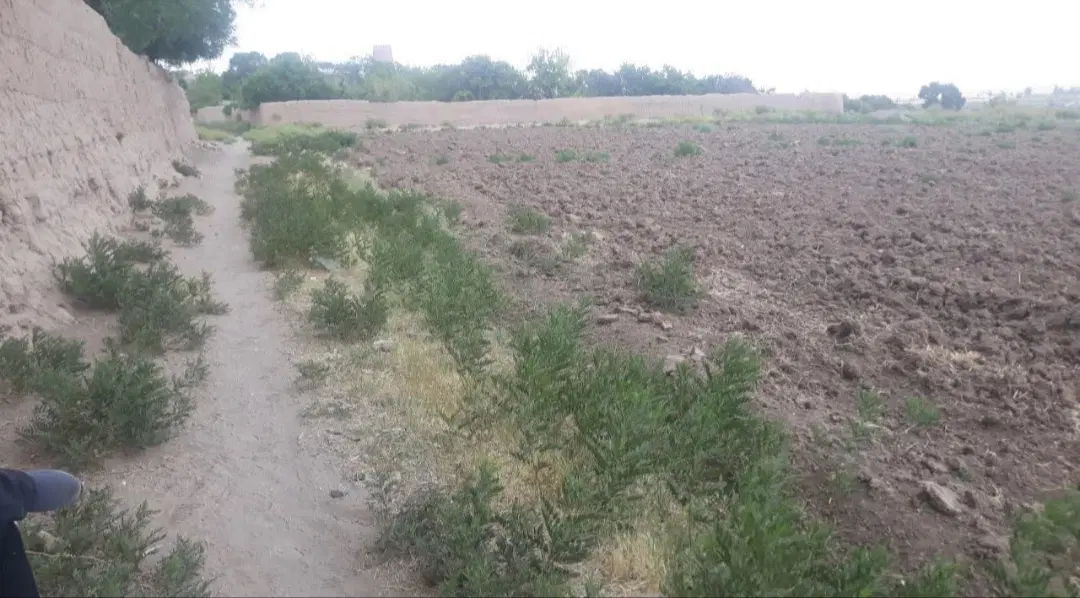 فروش زمین کشاورزی جنب قلعه تاریخی بهرامجرد