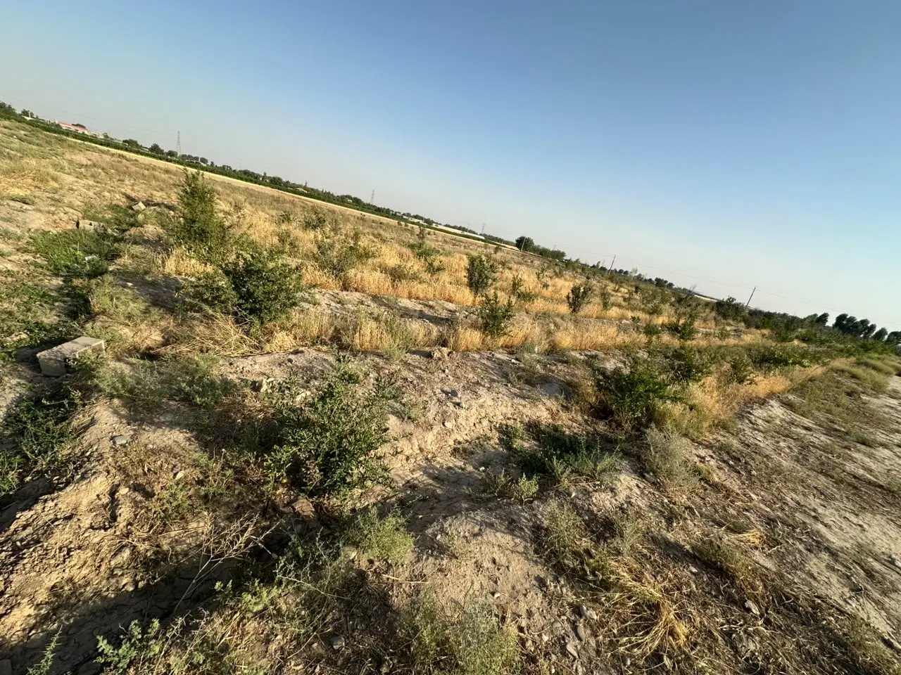 زمین کشاورزی ارمبویه