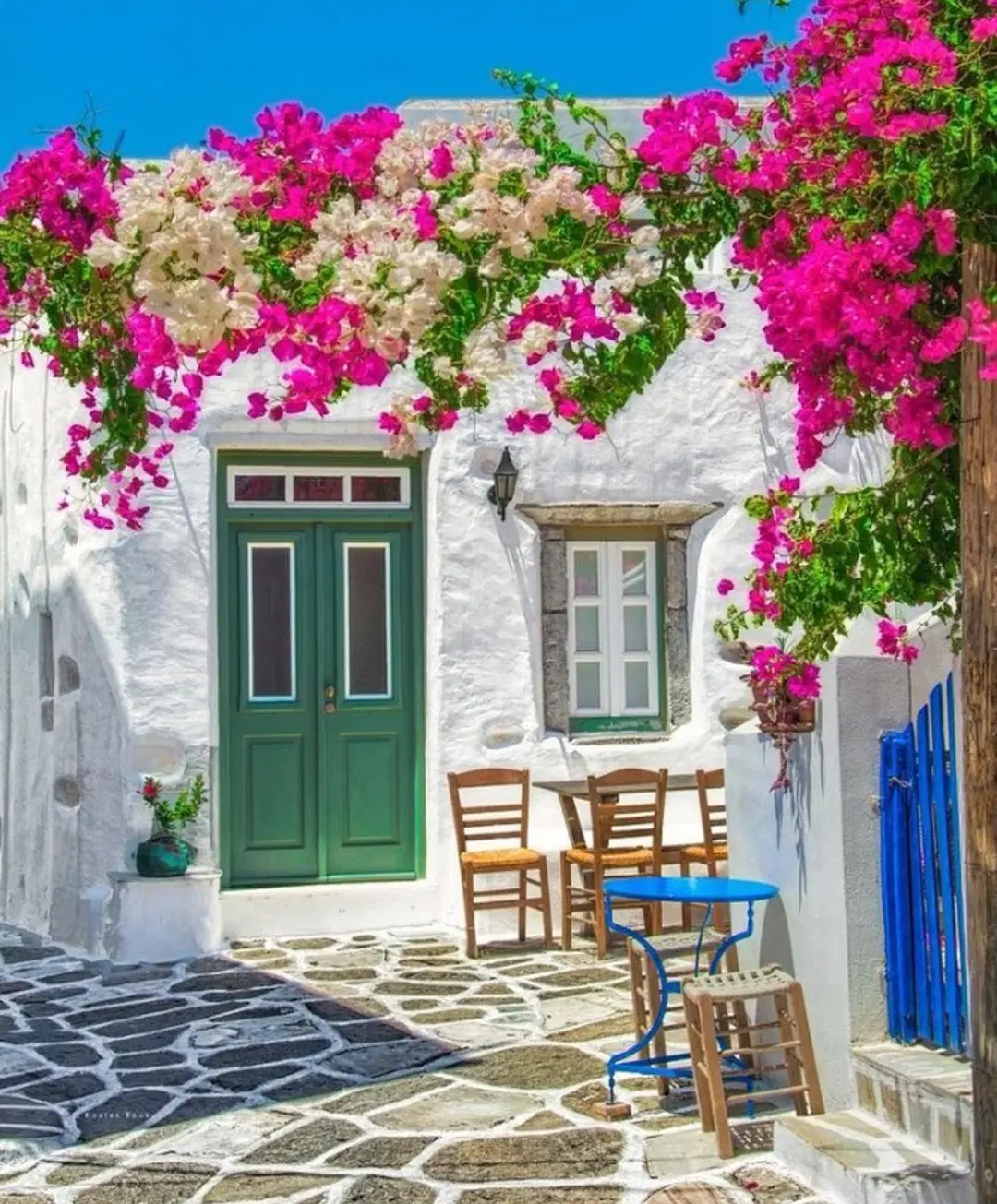 سویت روبه رو پارک شغاب